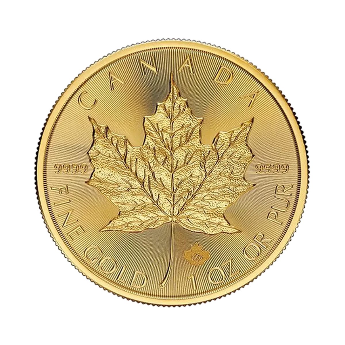 One troy ounce Gold Canadian Maple Leaf bullion coin