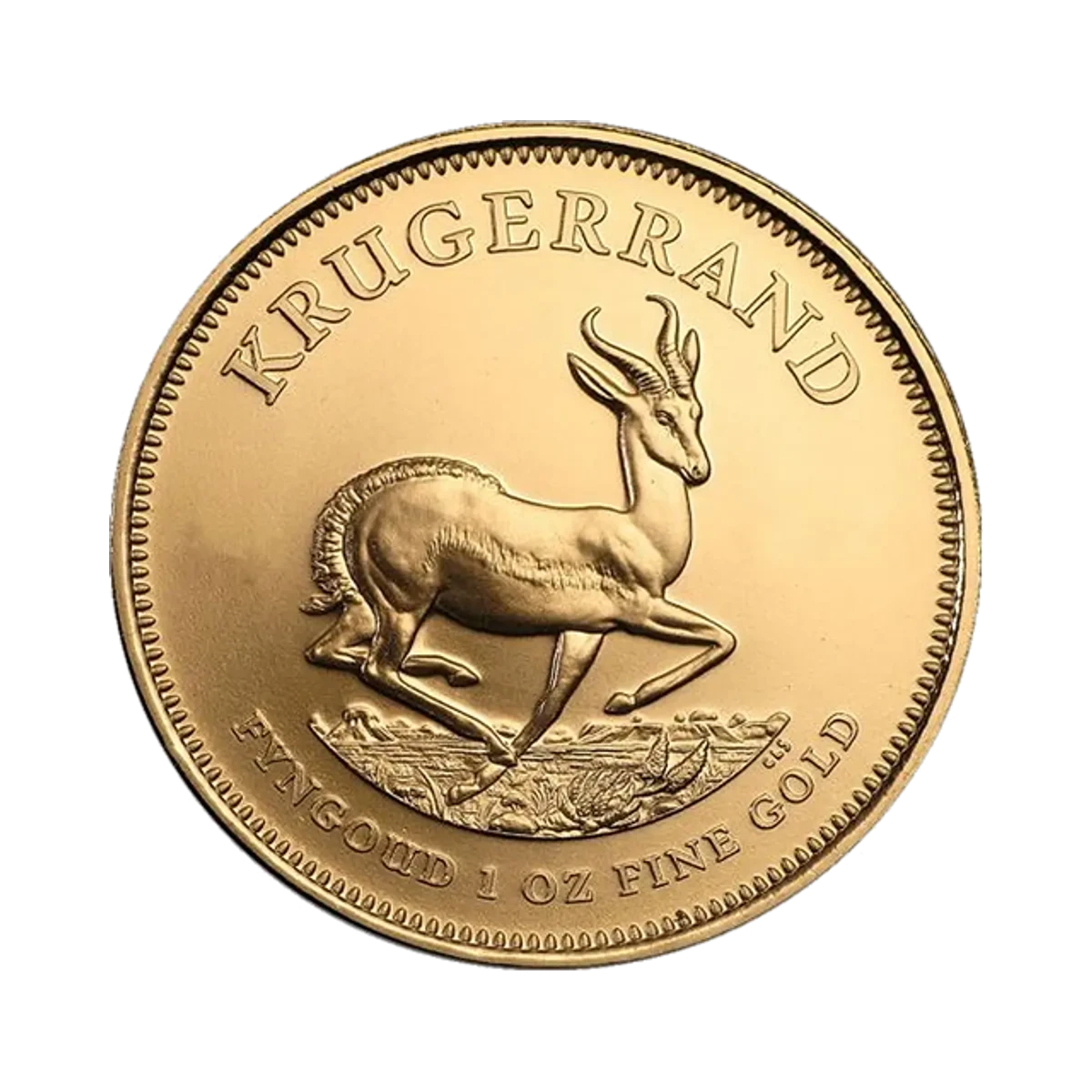 One troy ounce Gold South African Krugerrand coin