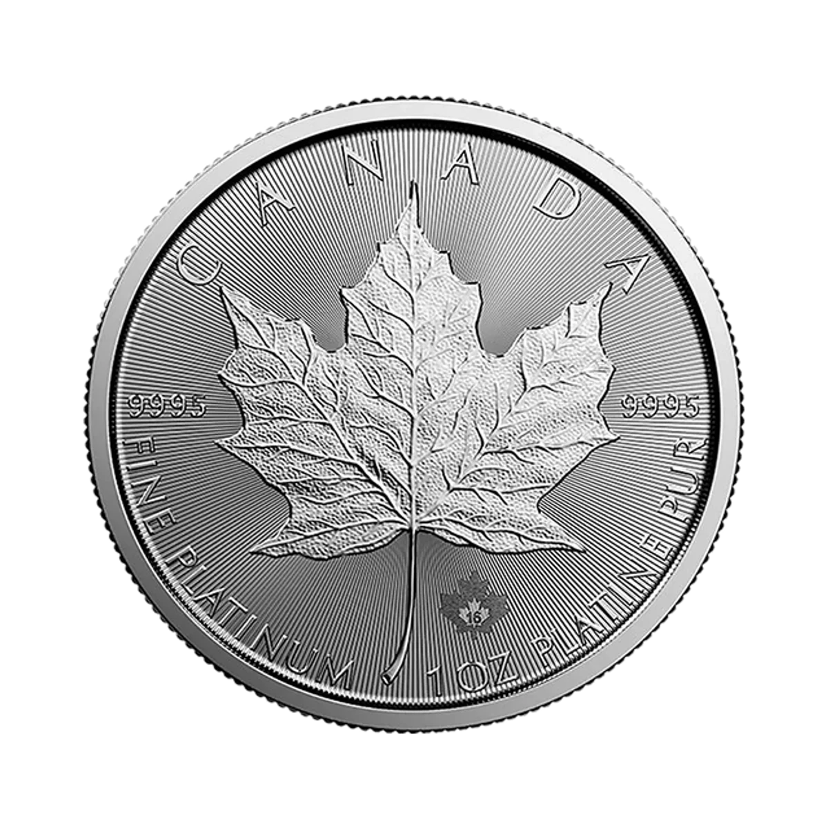 One troy ounce Platinum Canadian Maple Leaf coin